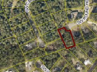 238 SW Round House Ct, Fort White, FL 32038