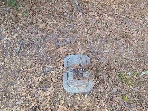 4th image of 0 Castleberry Dr