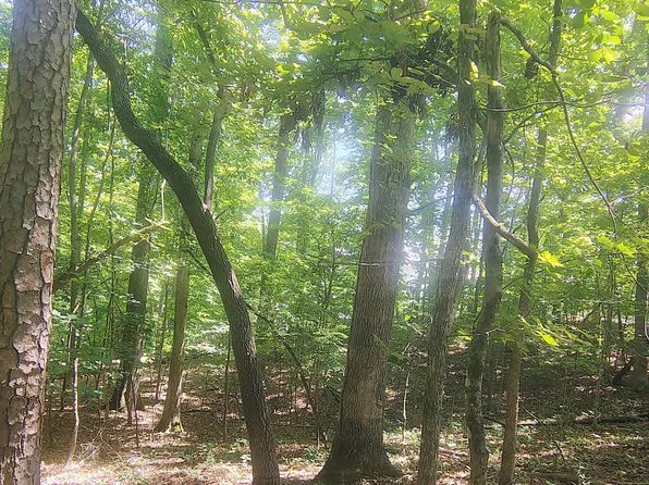 138 Stooksbury Ln, Andersonville, TN 37705