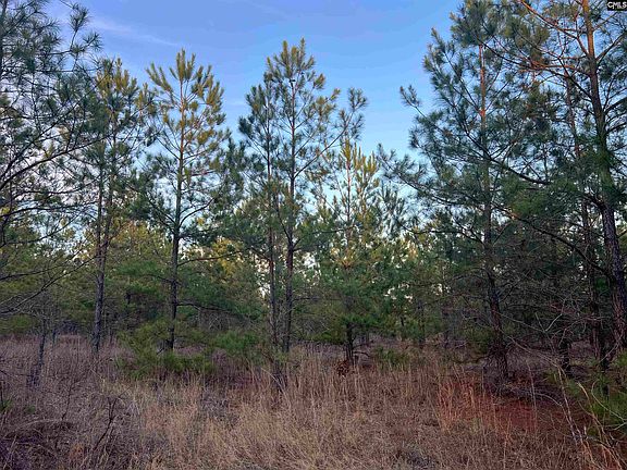 3rd image of Kelly Day Rd #3