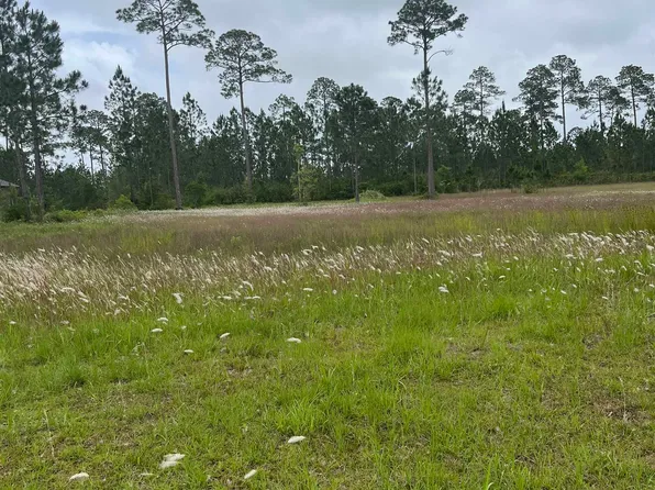 11071 Tall Timber Ln, Elberta, AL 36530