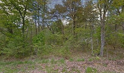 1st image of 201 Amherst Ln