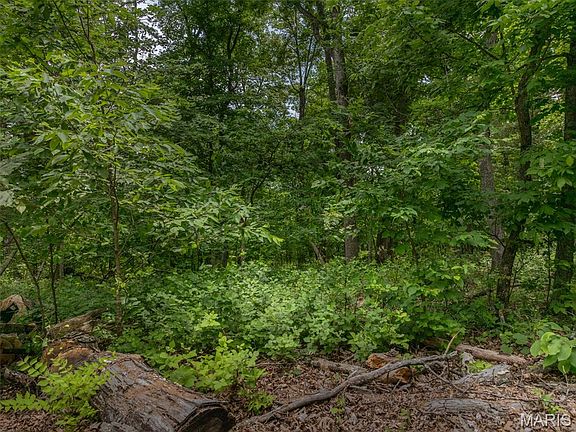 3rd image of 2528 Alpine Trail Dr