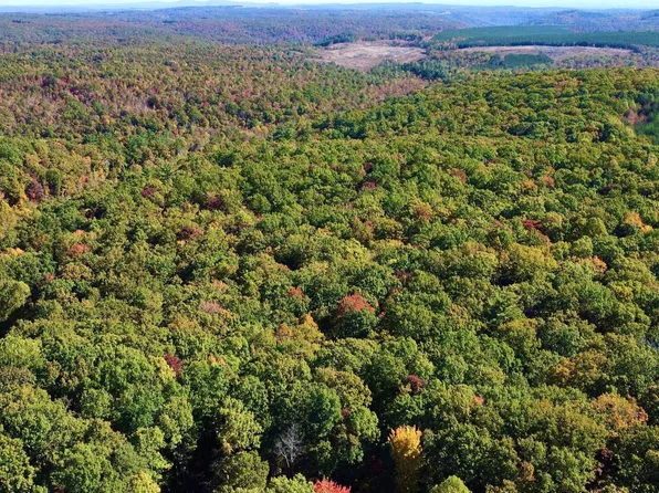 Log Rd, Spring City, TN 37381