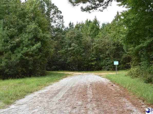 Bazen Ln, Florence, SC 29505