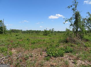 1 Goolsby Rd, Ellaville, GA 31806