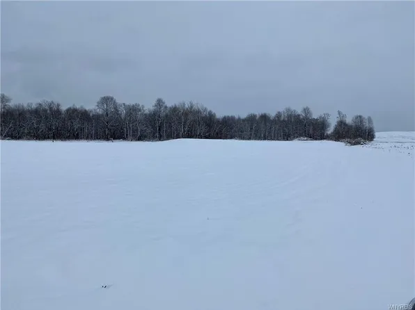 Morley Rd, Brant, NY 14027