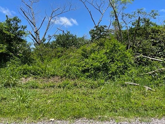 5th image of 23rd Avenue Naupaka Lot 1152