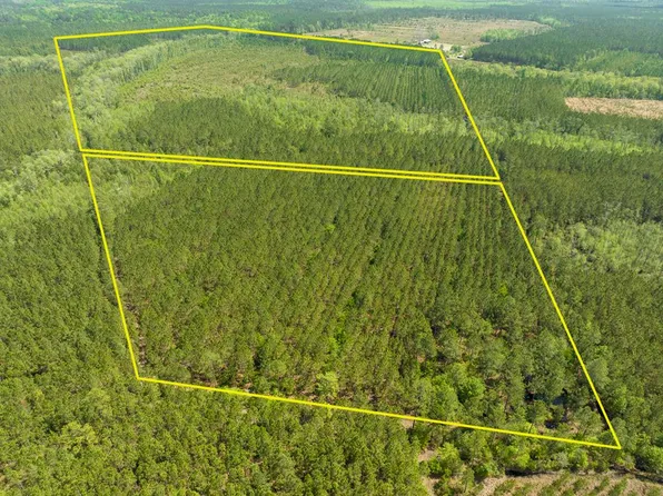 0 Reddish Rd NE, Ludowici, GA 31316