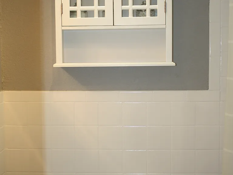 Toiletries shelves