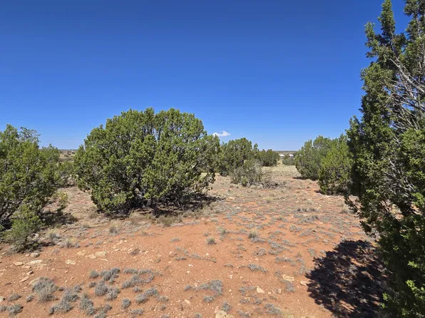 3711 E Wingfield Rd, Williams, AZ 86046
