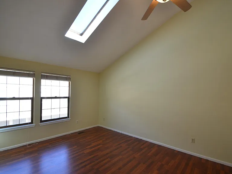 Master bed, vaulted ceiling, skylight.