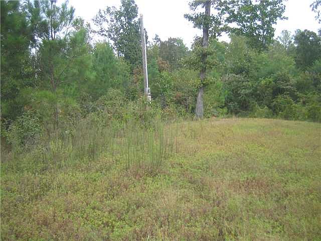 1st image of 24 Forest Dr