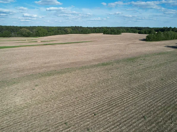 0 Jones Orchard Rd, Golconda, IL 62938
