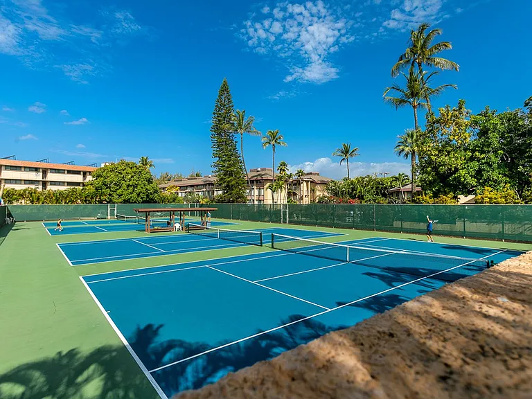 2695 S Kihei Rd #8101 — Photo 30