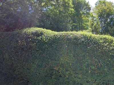 1412 W Johnson St, Staunton, VA, 24401