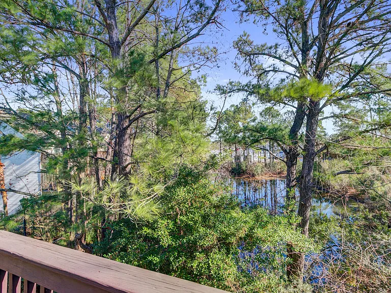 Lake Palmetto Ln — Photo 8
