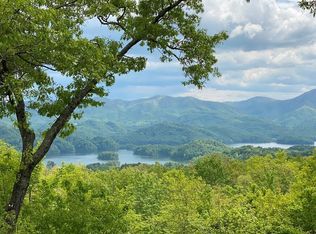 75 Lakeview Dr, Butler, TN 37640