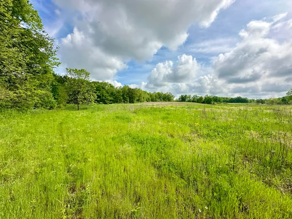S Hillsdale Rd, Camden, MI 49232