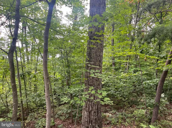 3 Tomahawk Ln, Edinburg, VA 22824