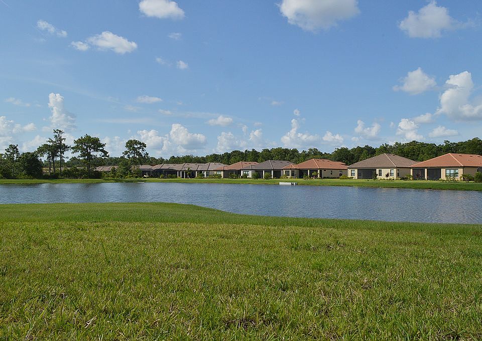 Backyard view