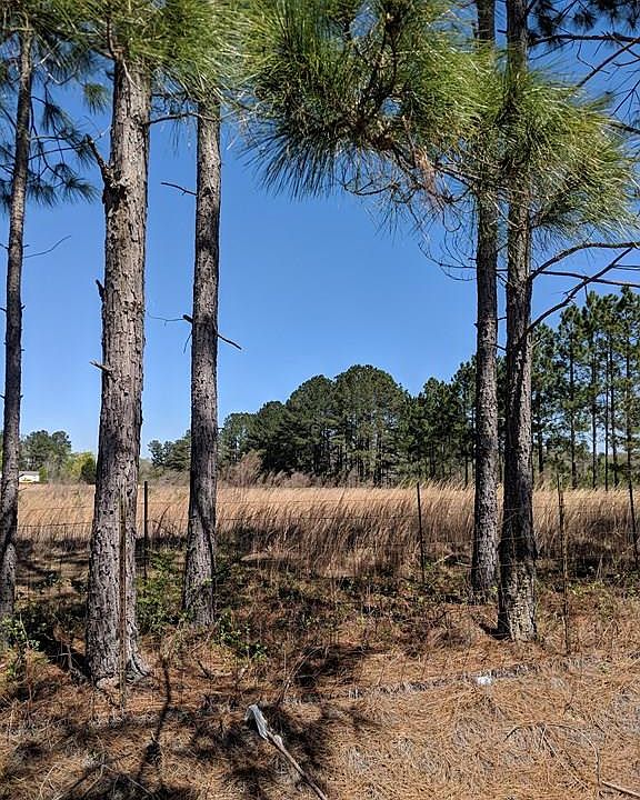 2nd image of 115 Bobcat Ln Lot 3