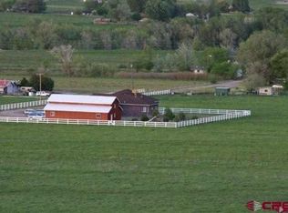 21798 Government Springs Rd, Montrose, CO 81403