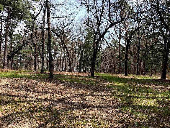 4th image of 3254 Shadow Pine Dr