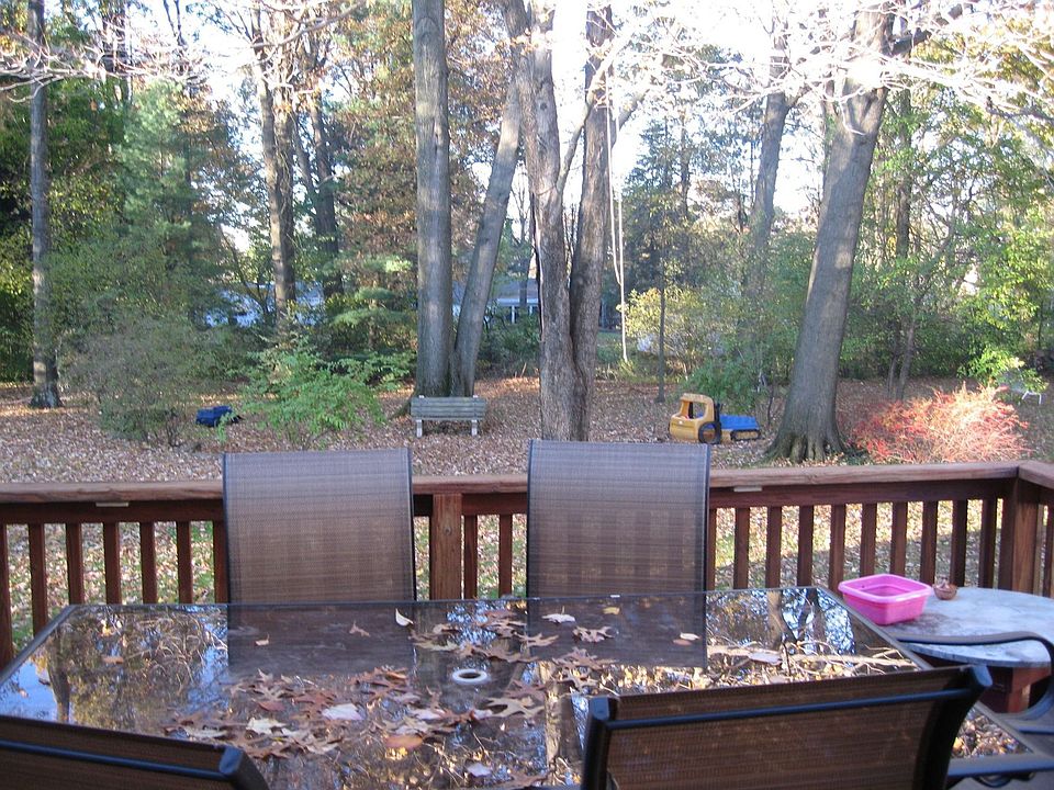 Backyard From Deck