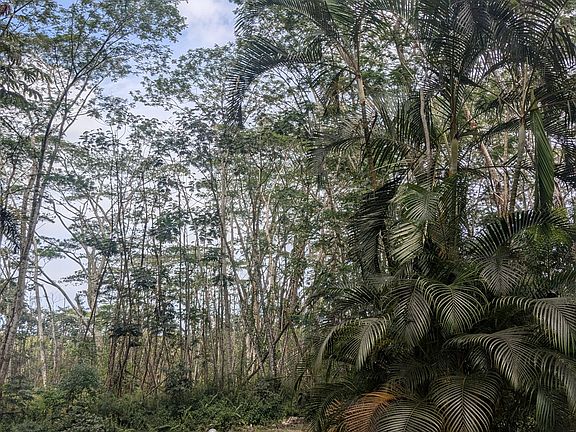 2nd image of Pakalana Rd Lot 132