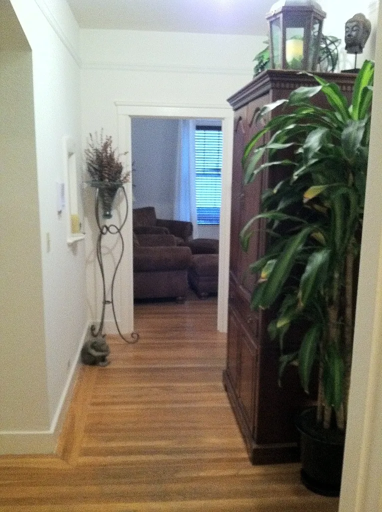Studio, 550 sqft, $3,995 — Photo 3