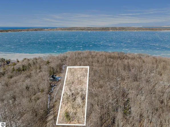 0 Treetops Ln, Frankfort, MI 49635