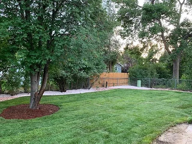 Bakcyard - 1057 Montview Rd