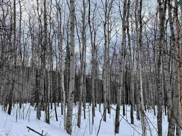 Nhn Duffy Loop, Fairbanks, AK 99712