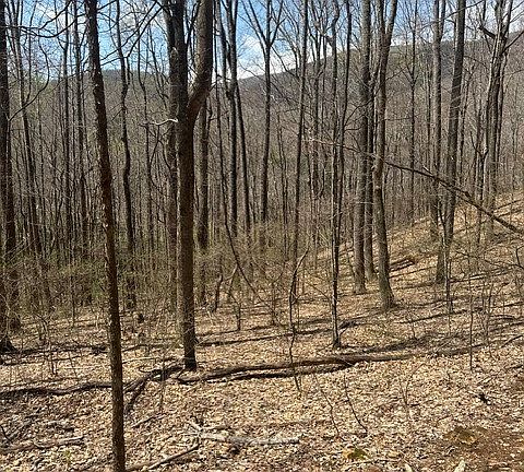 4th image of TBD Bald Mountain Road