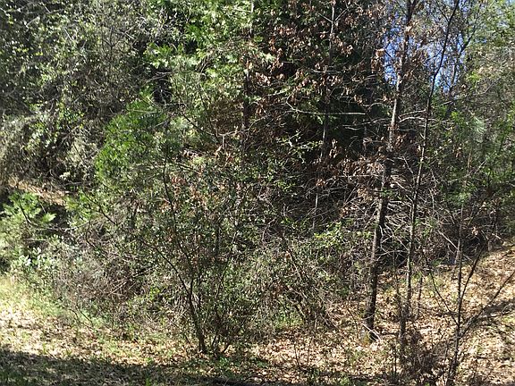 5th image of 18721 Shady Glen Rd