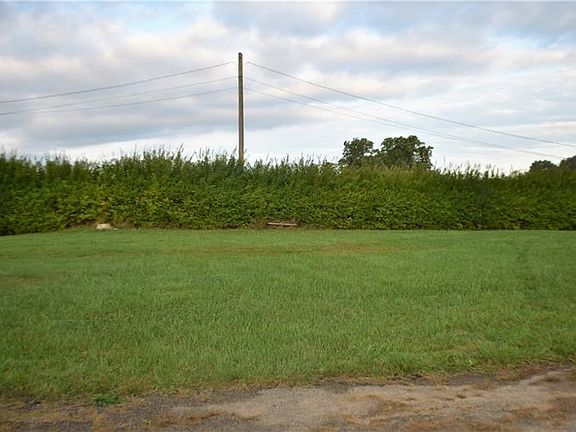 Privacy Hedges between the yard and the field next door.