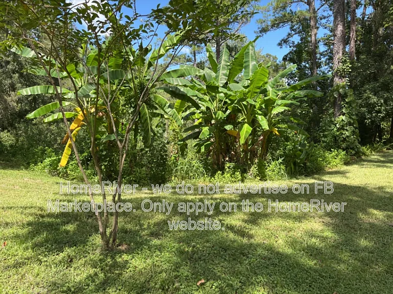 27136 Carefree Dr — Photo 9
