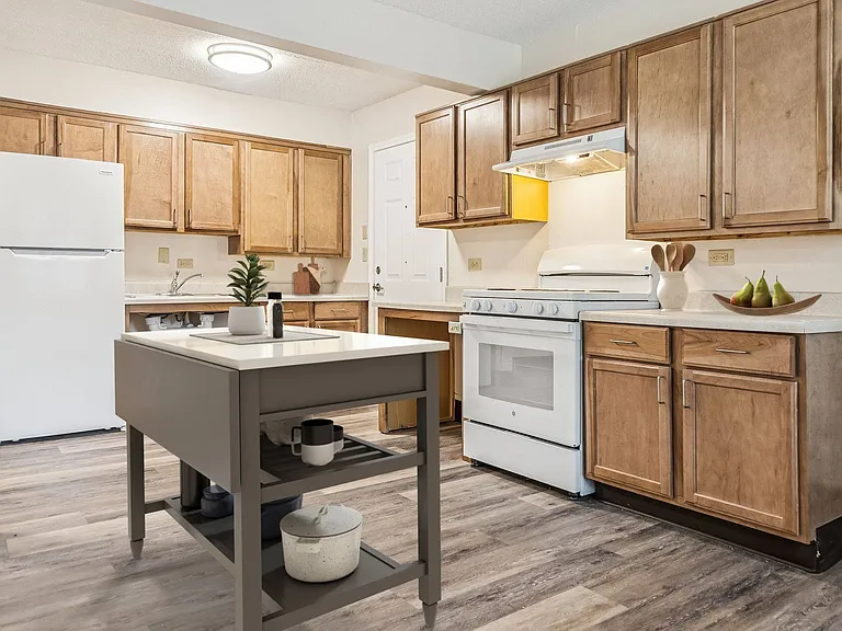 Accessible Kitchen