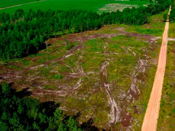 0 Edenfield Rd Tract 2, Twin City, GA 30471