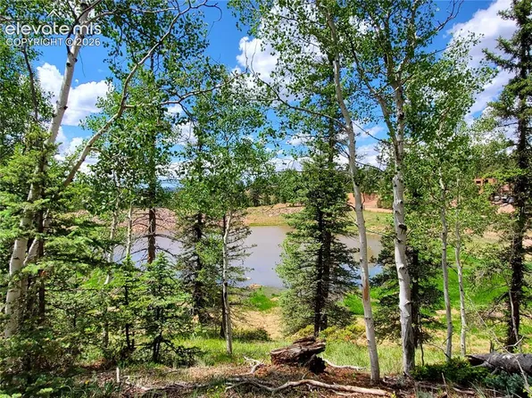 1076 Spring Valley Ln, Florissant, CO 80816