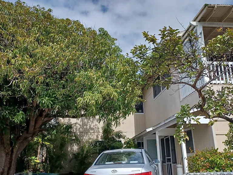 Aipo St — Photo 9
