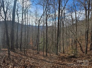 0 Stone Pillow Rd #14B, Tuckasegee, NC 28783