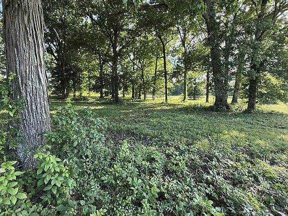 5th image of 1988 Fayetteville Hwy Lot 1