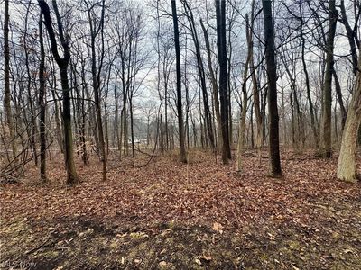Forest Ln, Nashport, OH, 43830