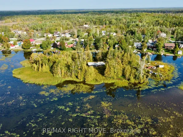 0 McGuire Beach Rd, Kawartha Lakes, ON K0M 2B0