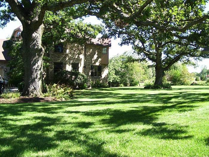 Organic Yard