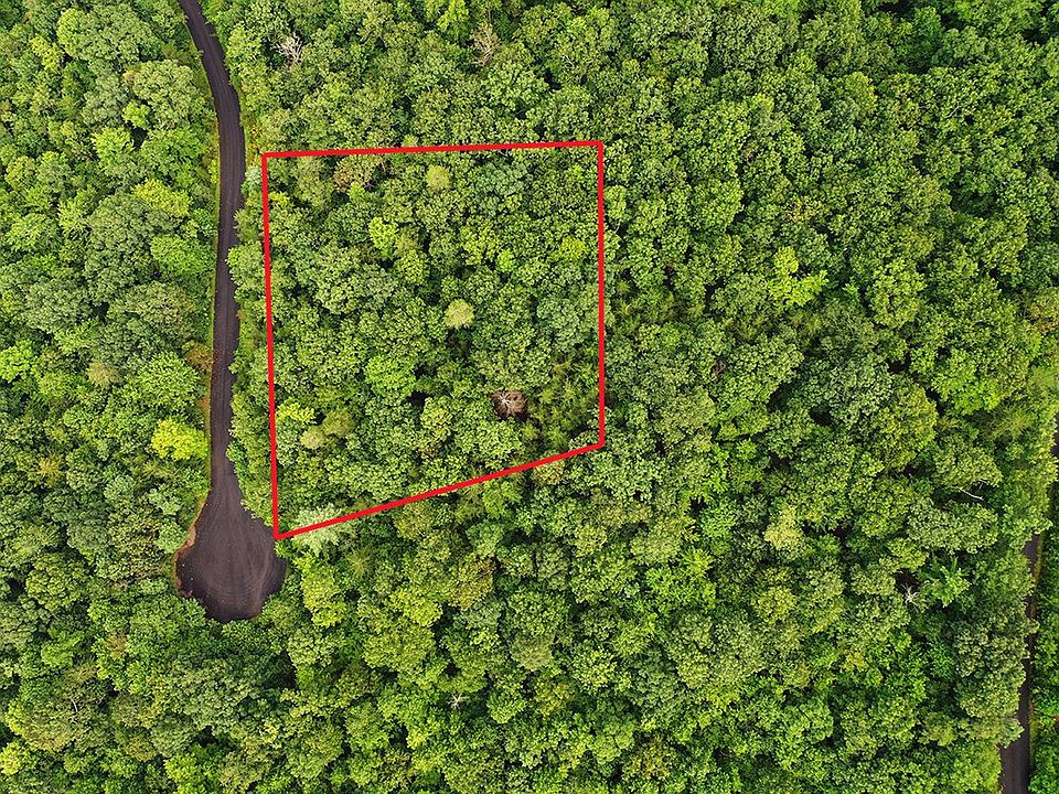 1st image of 7 Black Bear Trl