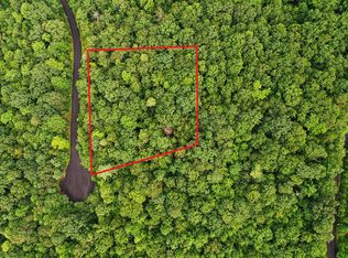 7 Black Bear Trl, Ellijay, GA 30536