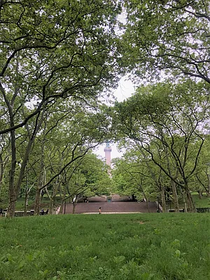 Rented by Corcoran | media 28